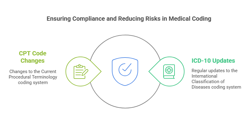 Outsource vs. In-house Medical Coding Comparison