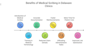 Infographic showing the impact of medical scribing on healthcare in Delaware.